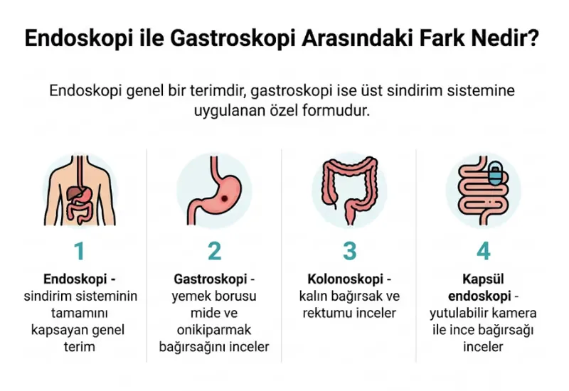 Endoskopi gastroskopi farkı infografiği