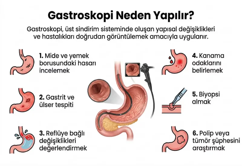 Gastroskopi neden yapılır infografiği