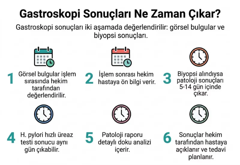 Gastroskopi sonuçları ne zaman çıkar infografiği