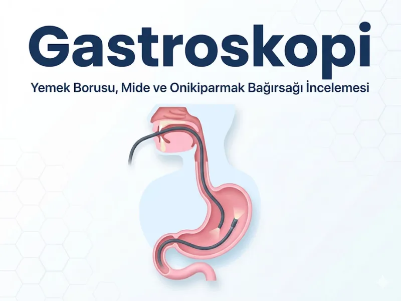 Gastroskopi yemek borusu mide onikiparmak bağırsağı incelemesi