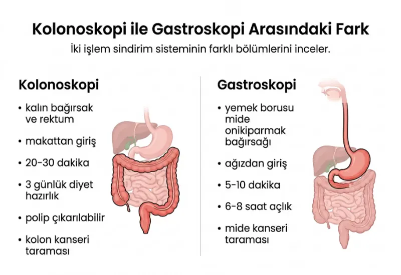 Kolonoskopi kaç yılda bir yapılmalı tarama sıklığı yaş tablosu