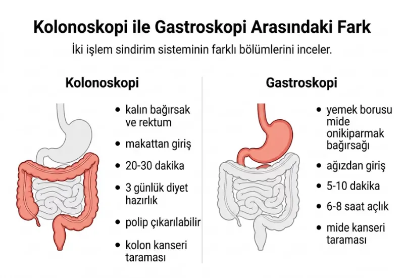 Kolonoskopi kapsül endoskopi farkı karşılaştırma