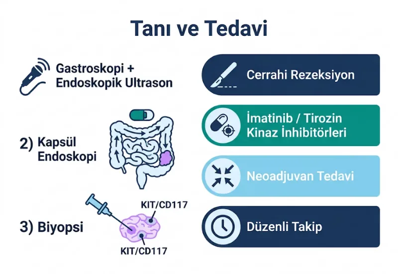 GIST tan\u0131 tedavi kaps\u00fcl endoskopi cerrahi imatinib tirozin kinaz
